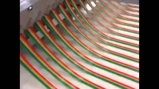 EpicMealTime Vine Gay Bacon Strips Funniest Best Vines Harley Morenstein EpicMealTime Vine Gay Bacon Strips Funniest Best Vines Harley Morenstein