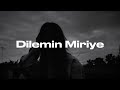 Kurdish x Turkish Mix | „Dilemin“ Prod. Diyar Music