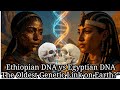 “Ethiopian DNA vs Egyptian DNA — The Oldest Genetic Link on Earth?”