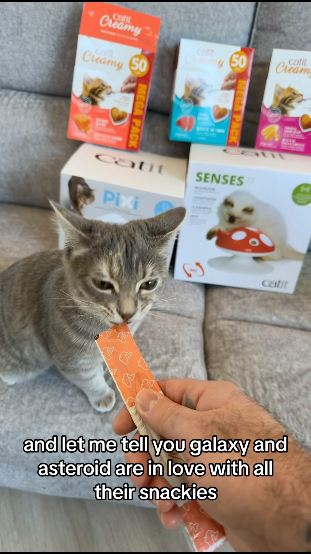 @catitusa make the best holiday gifts! Make sure you check out their Black Friday sale now! #catit
