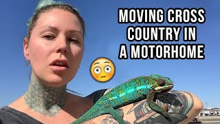 MOVING TO NASHVILLE WITH ALL MY ANIMALS! | Kristen Leanne MOVING TO NASHVILLE WITH ALL MY ANIMALS! | Kristen Leanne