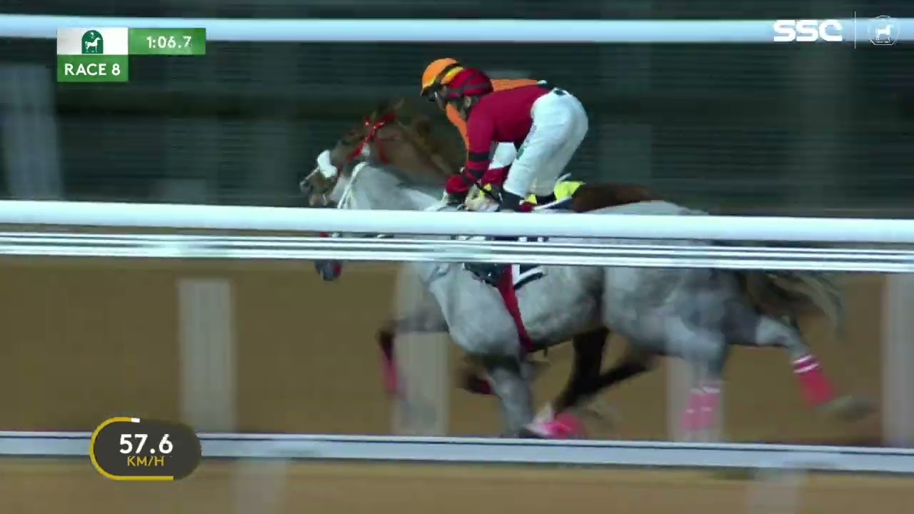 الشوط الثامن للحفل 01 بموسم سباقات الطائف