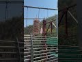 ✨ India’s first Glass Bridge in Rishikesh!
