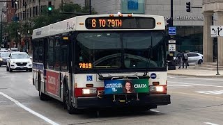 Cta 2006 New Flyer D40Lf Bus 1223 On Rt 8 Halsted