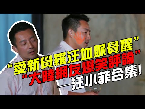“媽寶菲”、“愛新覺羅汪”、“窩囊菲”，大陸線民爆笑評論汪小菲發瘋，字字戳心！#具俊曄#大S#小S#DJKOO#酷龍