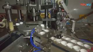 Cap wad foil punching lining machine