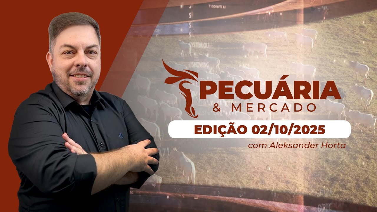 Enquanto SP passa por estagnação da arroba do boi, estados como MG e GO esboçam reação