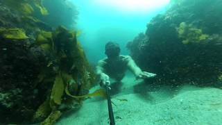 How To Swim -Fast- Using The Batray Technique