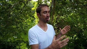 Nimiq UI/UX Vision & Progress With Elion