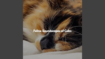 Refined Backdrops for Co-Working Space