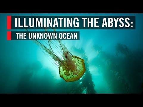 Illuminating the Abyss: The Unknown Ocean Instructional Video