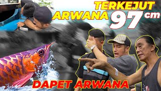 SERIUS MAU TERNAK ARWANA ?? #EPS02