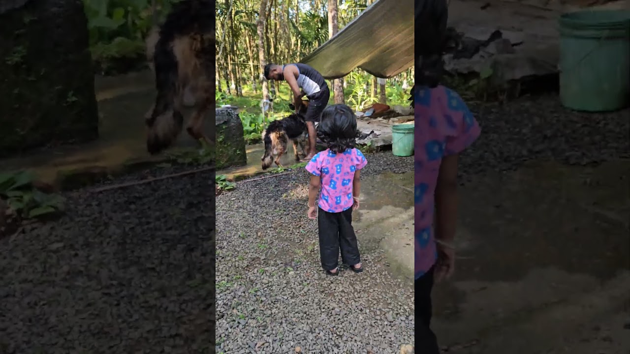 എന്റെ അടുക്കളയ്ക്കും ഒരു ദിവസം അവധി കിട്ടി🥰#youtube #explorevideo