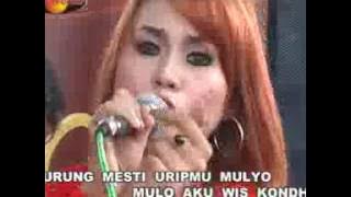 Eny Sagita - Ngamen 2 | Dangdut ( Music Video)