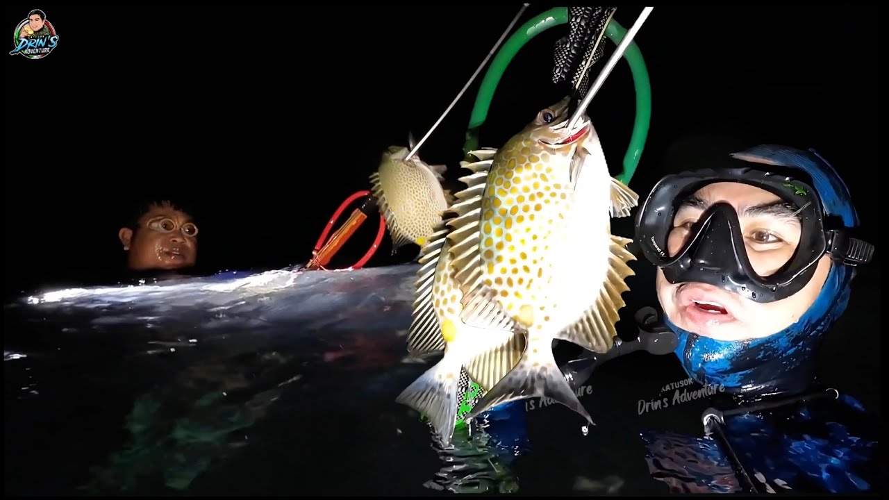 Marami na ulit Ang lalapad ! 😱 EP 217 | NIGHT SPEARFISHING PHILIPPINES | Drin's Adventure | Katusok