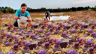 Wow unbelievable a Fisherman catch skill lots of Crabs and Snails at special place.