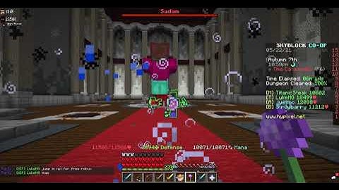 I finally got dungeon solvers! (Hypixel Skyblock)