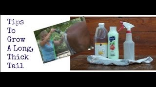 Horse Grooming Tips: How To Grow A Long, Thick Tail