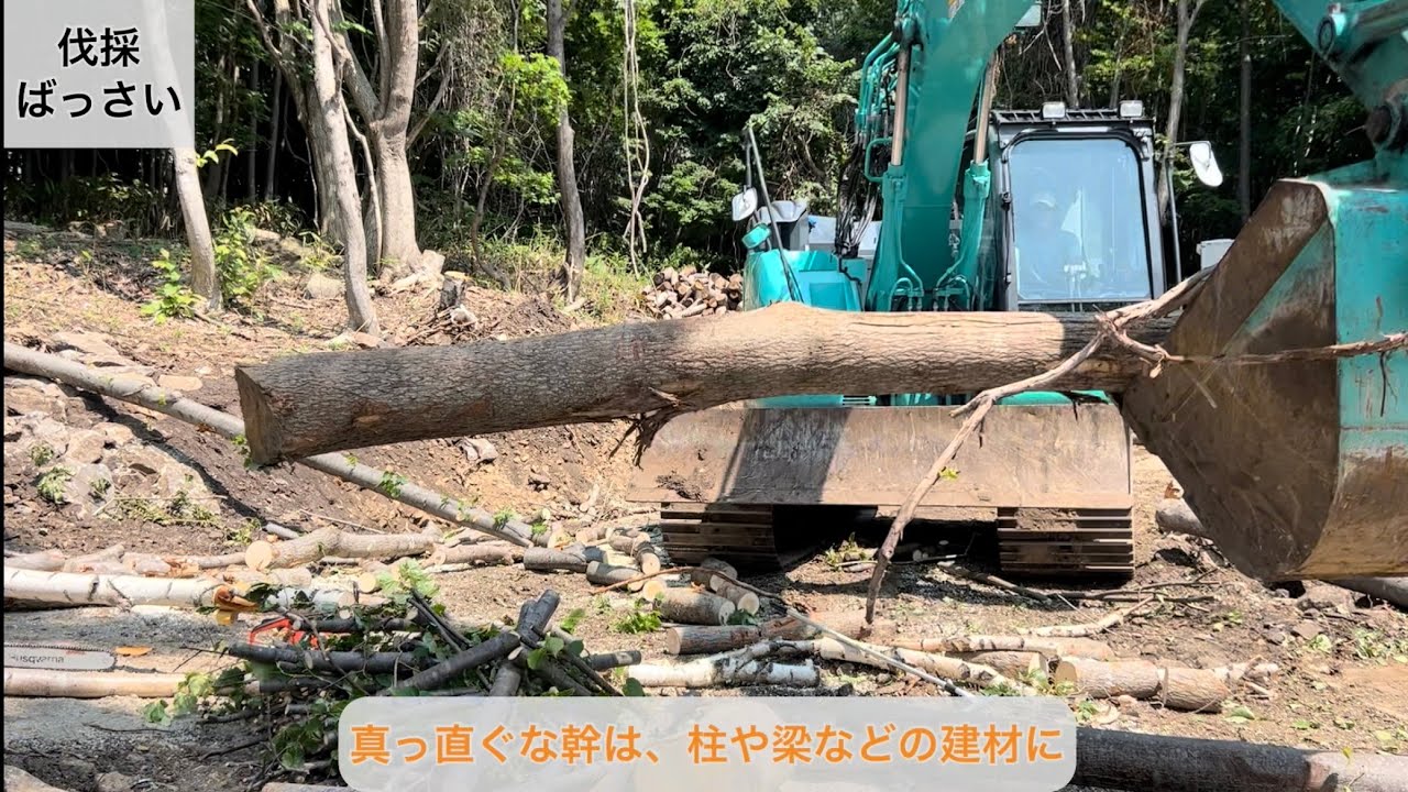 伐開除根工事とは – 伐開除根 機械 : 宅地造成工事で行う伐採・抜根の違いとは? – YNXTNQ