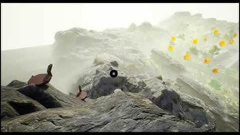 Environment Showcase