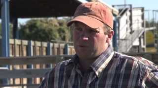 CLIENT TESTIMONAL - Hamish McKenzie, Braemar Station
