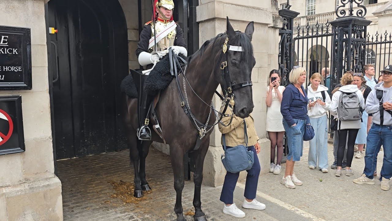 Visiting The King's Guard Today and this Happened at Horse Guards 