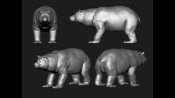 Bear - Modeling Timelapse