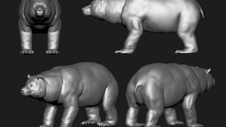 Bear - Modeling Timelapse