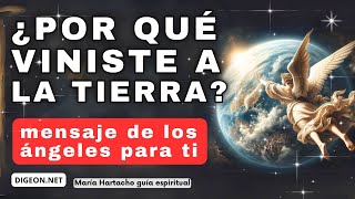 💌MENSAJE de los ÁNGELES PARA TI - DIGEON - ¿Por qué estás en la tierra? - Arcángel Ariel - Ens VERTI