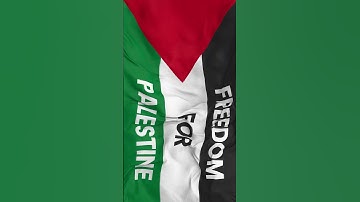 Freedom For Palestine Flag Waving #shorts #youtubeshorts #freedomforpalestine #israel #palestine