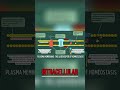 Cell Membrane: Phospholipids &amp; Selective Permeability Explained #shorts