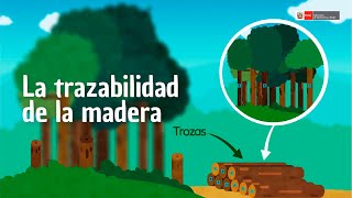 La trazabilidad de la madera La trazabilidad de la madera