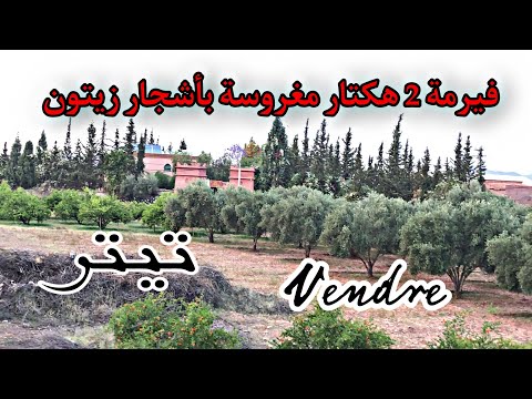 مزرعة للبيع نواحي مراكش