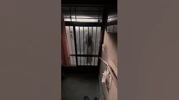 閲覧注意 圧がヤバめな玄関を開けたらいる人 Shorts 