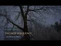 432 Hz Deep Healing Forest — Fall Into Deep Sleep & Cellular Repair Tonight