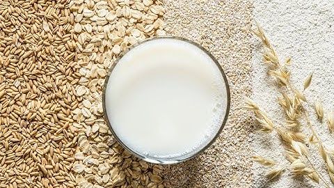 Lợi ích của việc ăn yến mạch mỗi ngày