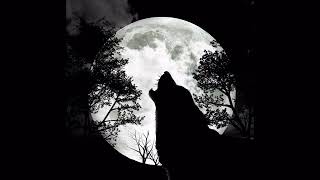 Download Mp3 MUSE - HUNGRY LIKE THE WOLF with lyrics -- Vietsub Gudang lagu Download Mp3 MUSE - HUNGRY LIKE THE WOLF with lyrics -- Vietsub