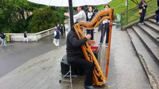 Download Lagu Hallelujah by John Buckley played in a harp MP3