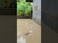 banjir bandang hari kedua
