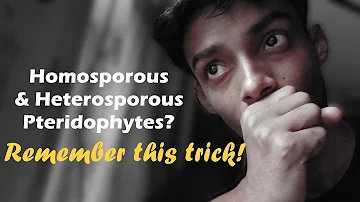 Which bryophyte is heterosporous?