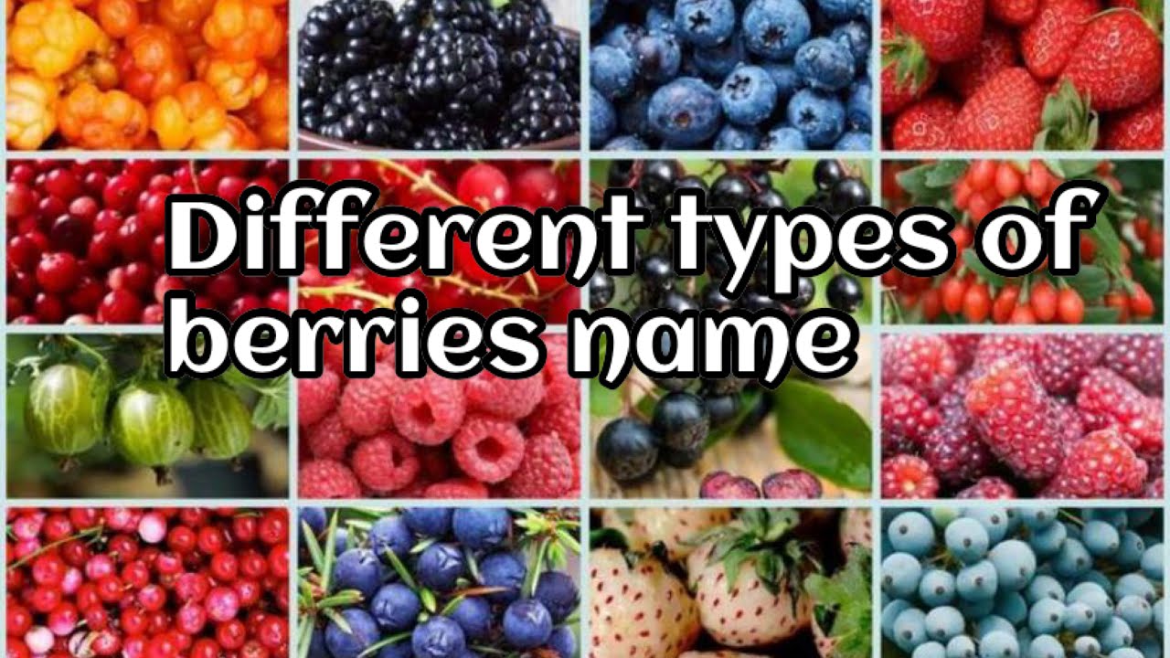 Types of Berries