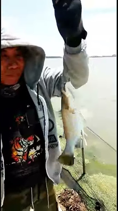 STORY W.A MANCING BARRAMUNDI