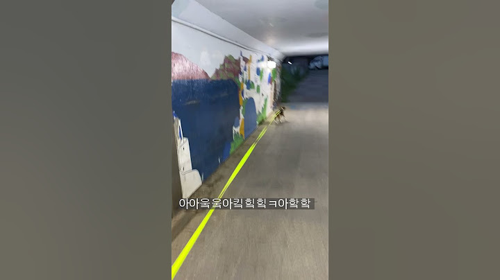 터널에서 괴물을 만난 비글 #shorts