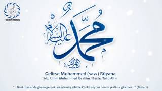 Gelirse Muhammed (saw) Rüyana | Talip Altın | Yeni Türkçe Neşid | New Nasheed | Müziksiz İlahi