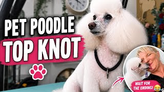 Easy beginner pet poodle top knot