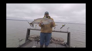 GRINDING OUT SOME CATFISH ON WINDY LAKE EUFAULA