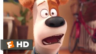 The Secret Life Of Pets - Maxs New Brother Scene Fandango Family