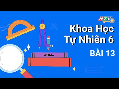 Tiết 34-35: một số lương thực thực phẩm.