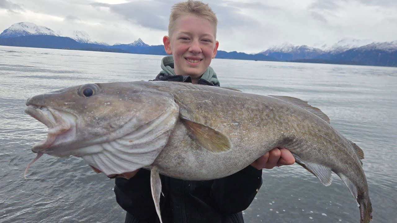 3 Days Fishing for Alaskan Cod from Shore
