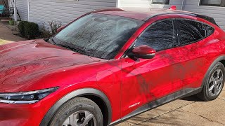 Got the Mach-E windows tinted today!